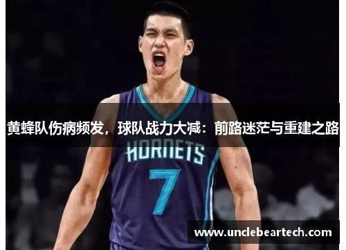 黄蜂队伤病频发，球队战力大减：前路迷茫与重建之路