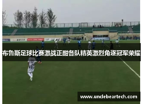布鲁斯足球比赛激战正酣各队精英激烈角逐冠军荣耀