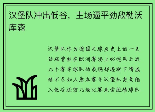 汉堡队冲出低谷，主场逼平劲敌勒沃库森